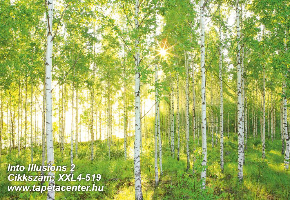 Fa hatású-fa mintás,fotórealisztikus,tájkép,természeti mintás,fehér,fekete,sárga,szürke,zöld,gyengén mosható,vlies poszter, fotótapéta 